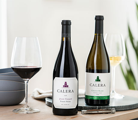Calera Wines in front of a tree and fire place