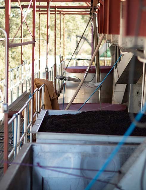 gravity flow winemaking