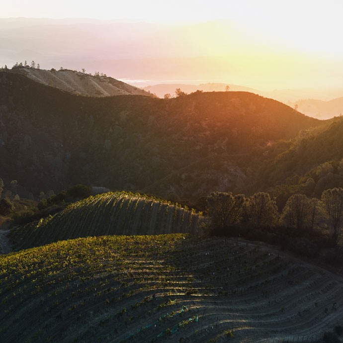 Calera Vineyard views
