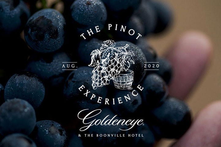 The Pinot Experience in Anderson Valley, one weekend of wine from vine to bottle
