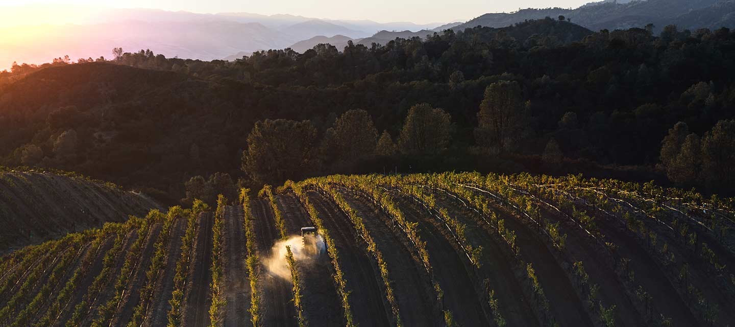 Gravity-Flow Winemaking and The Mt. Harlan AVA | Calera Wine Company